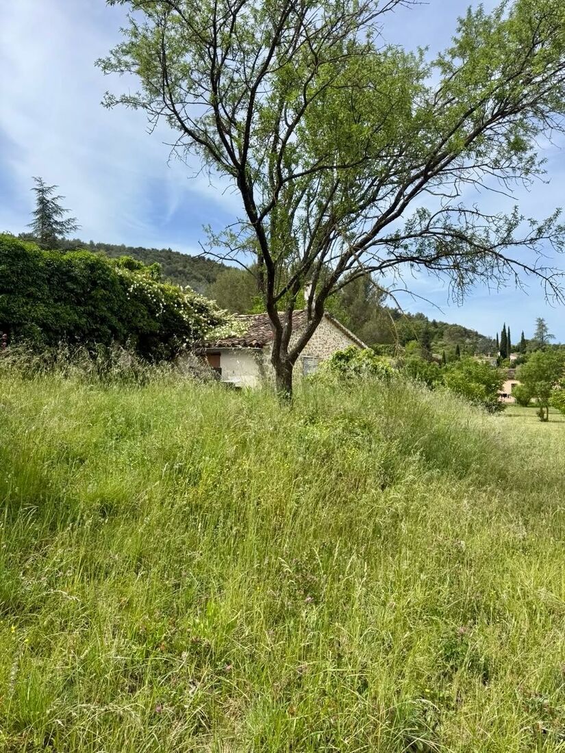 Avant : terrain envahi d'herbes hautes