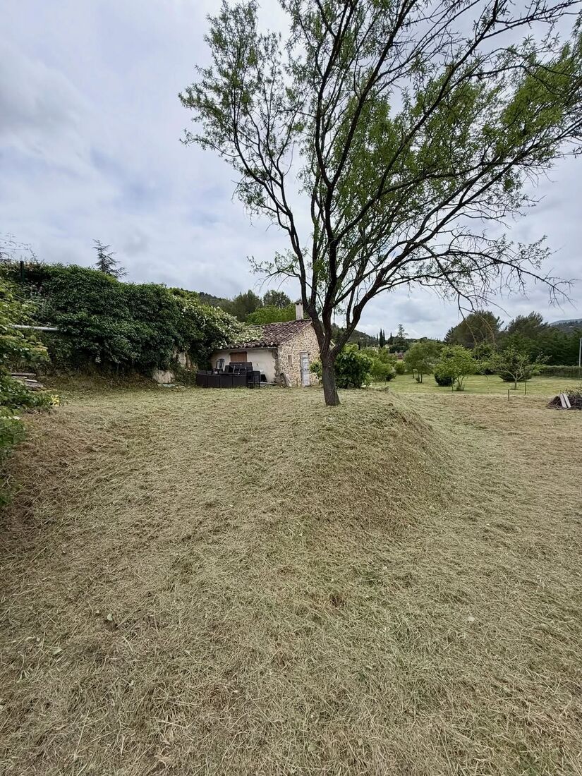 Après : terrain débroussaillé