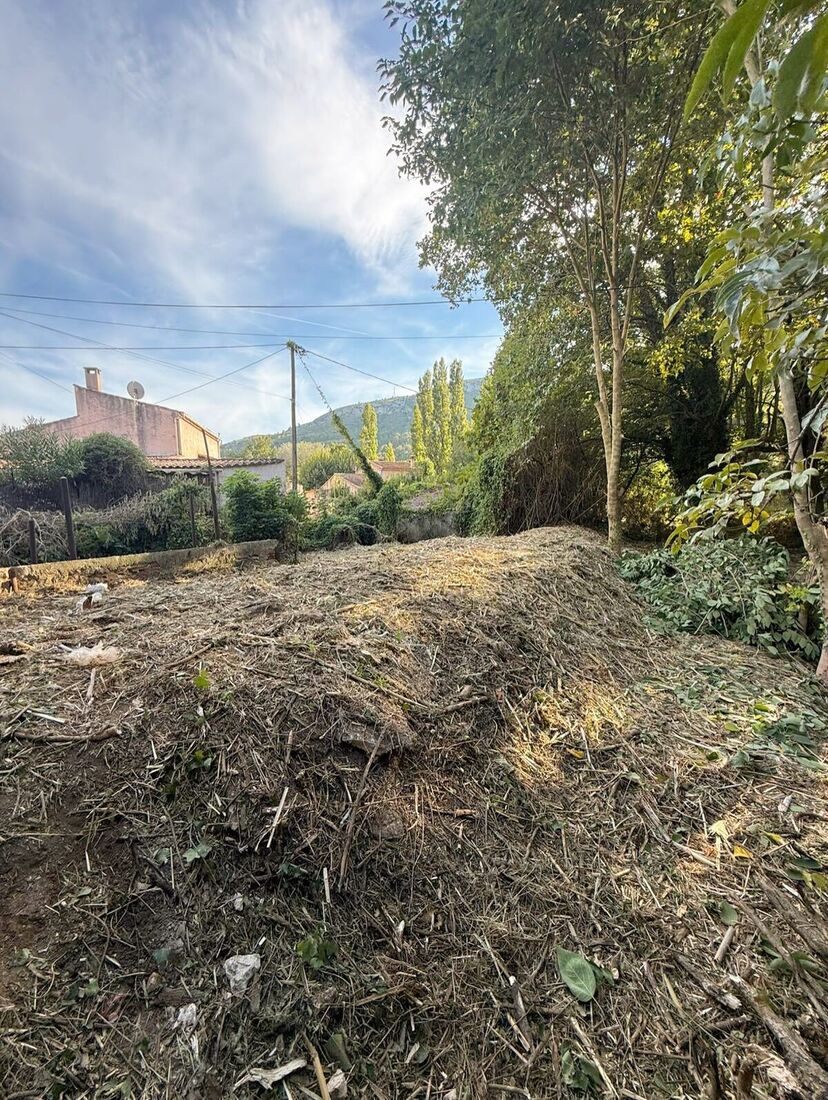 Remise en état d'un terrain envahi de roseaux
