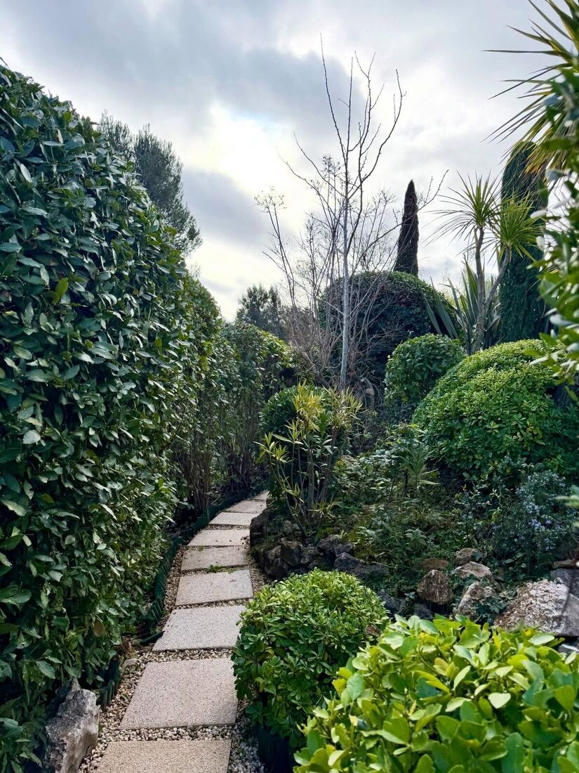 Jardin taillé et entretenu